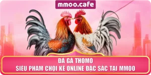 Đá Gà Thomo – Siêu Phẩm Chọi Kê Online Đặc Sắc Tại MMOO