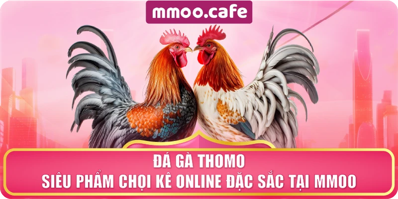Đá Gà Thomo – Siêu Phẩm Chọi Kê Online Đặc Sắc Tại MMOO